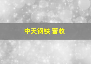 中天钢铁 营收